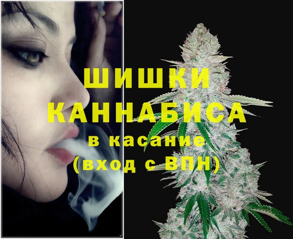 СК Гусь-Хрустальный