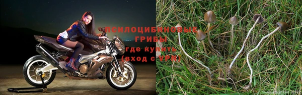 мяу мяу кристалл Гусев