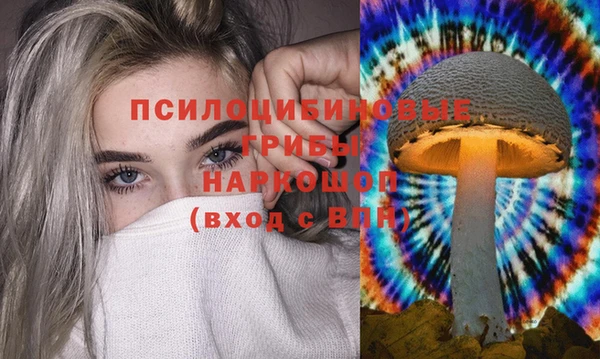 прущие крисы Гусиноозёрск