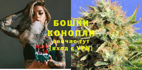 СК Гусь-Хрустальный