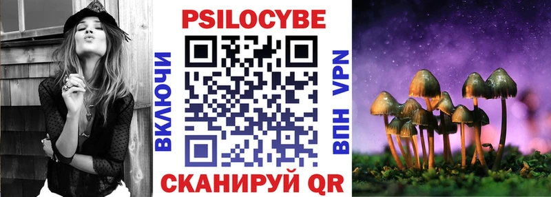 Купить где  Камень-на-Оби  Галлюциногенные грибы ЛСД 
